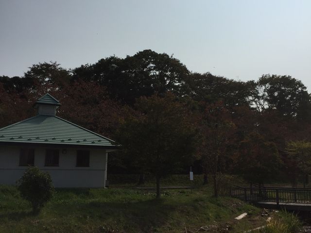 いしのまきさんの平筒沼の紅葉の投稿写真3