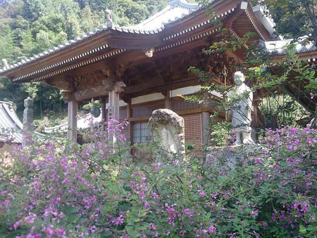最明寺の萩