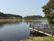 いしのまきさんの平筒沼の紅葉の投稿写真1