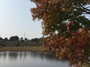 いしのまきさんの平筒沼の紅葉の投稿写真2