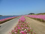 zinさんの遠賀川の投稿写真4