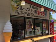 YUKIさんのブルーベリー園まつきの投稿写真1