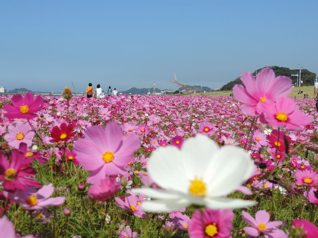 遠賀川