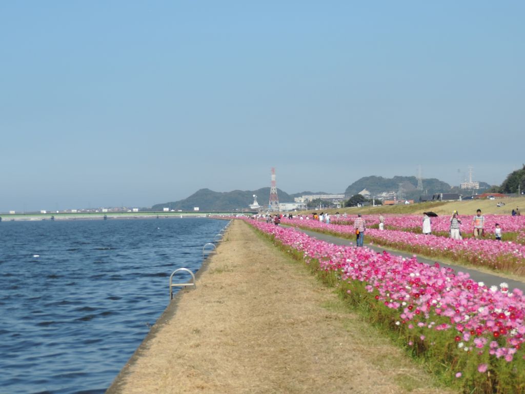 遠賀川