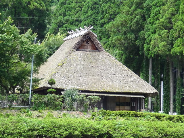 しどーさんの葛川の投稿写真1