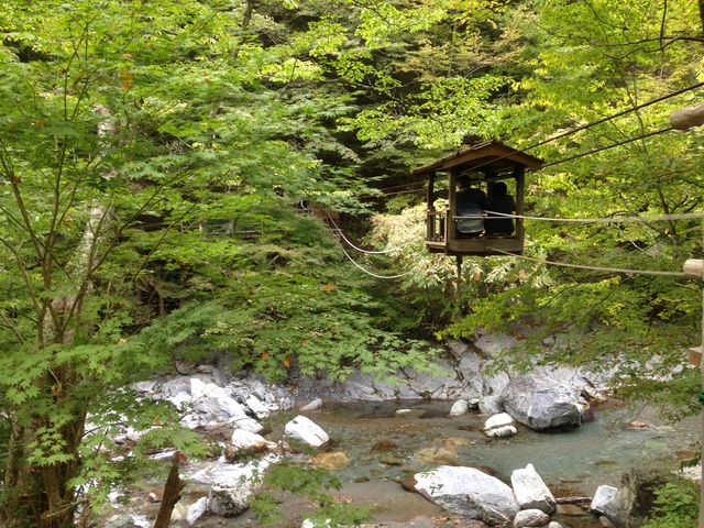 野猿_奥祖谷二重かずら橋