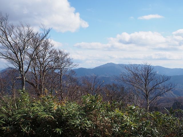 岳さんの扇ノ山の投稿写真3