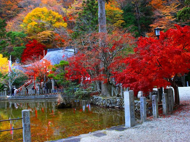 龍泉寺