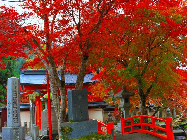 龍泉寺