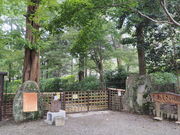 sklfhさんの都麻乃郷あじさい園の投稿写真1