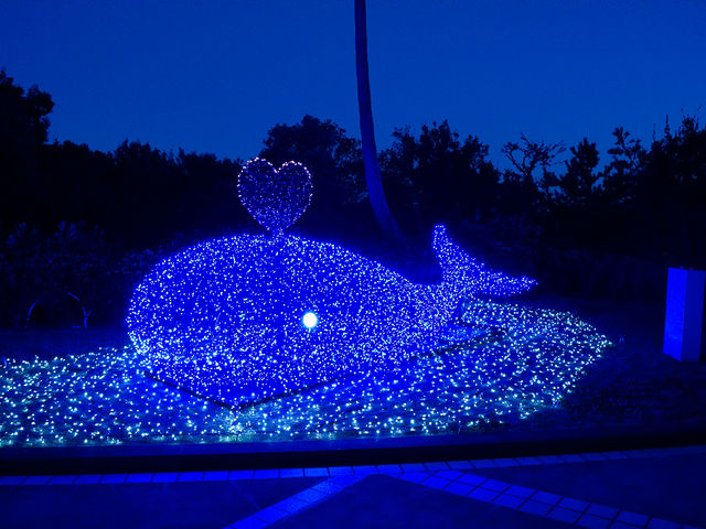 相性占いがクジラになっていました。_白浜古賀の井リゾート&スパ イルミナスオーシャン