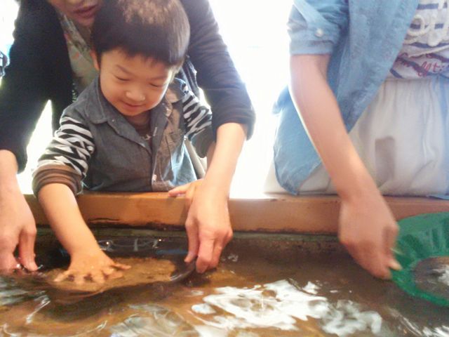 ちびっこちゃんも一生懸命_佐渡西三川ゴールドパーク