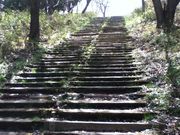 Sakamoto119さんの近畿自然歩道「生駒山・鳴川峠・十三峠をめぐるみち」の投稿写真44