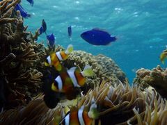 アキコさんのB-natureへの投稿写真1