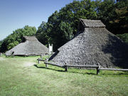 いわぴいさんの荒神谷史跡公園の投稿写真2