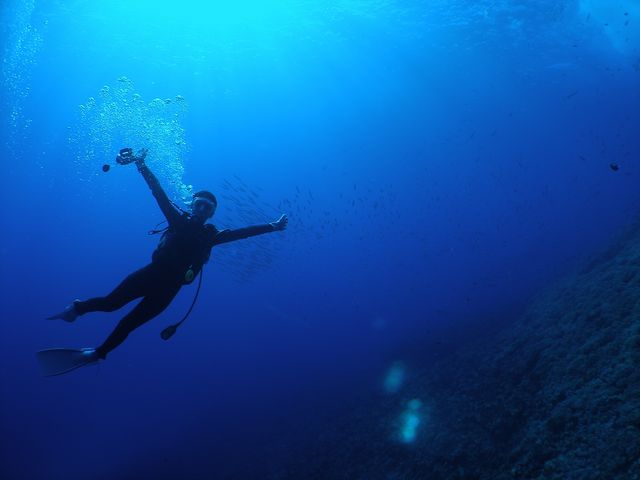 写真はイントラさん撮影のもの。後日送って下さる写真は、毎回の楽しみです。_Sea Monk