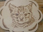 ミッキーパパさんの鳥の工房つばさの投稿写真2