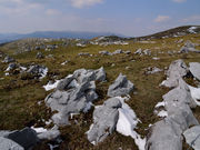 こたぴさんの五段高原の投稿写真2