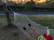 ぺんぎんさんの三瀬ルベール牧場どんぐり村の投稿写真3