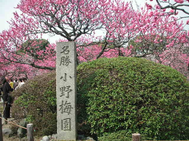 隨心院