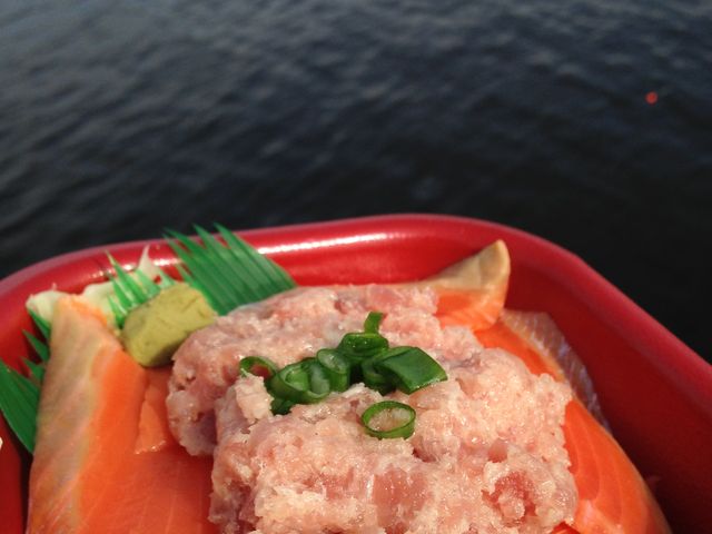 松名瀬フィッシングパーク