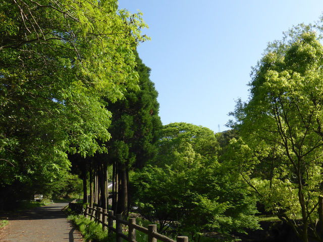 今宿野外活動センターキャンプ場