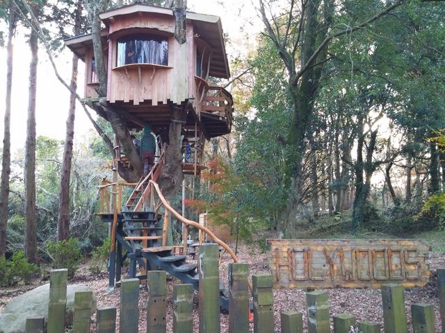 ホウリーウッズ久留里キャンプ村