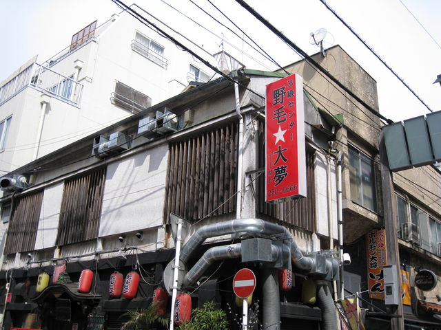 野毛 大夢