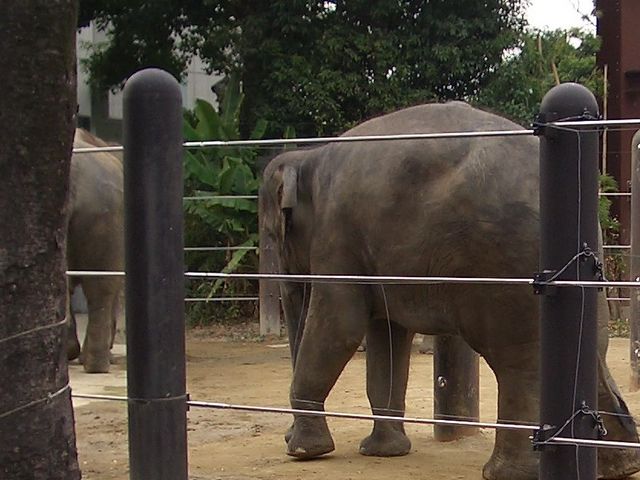 大島動物園
