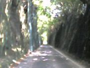 うにあわびとこぶしさんの旧小浜鉄道跡の投稿写真1