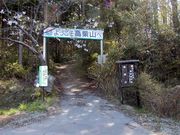 okeiさんの阿武隈中部県立自然公園高柴山のツツジの投稿写真1