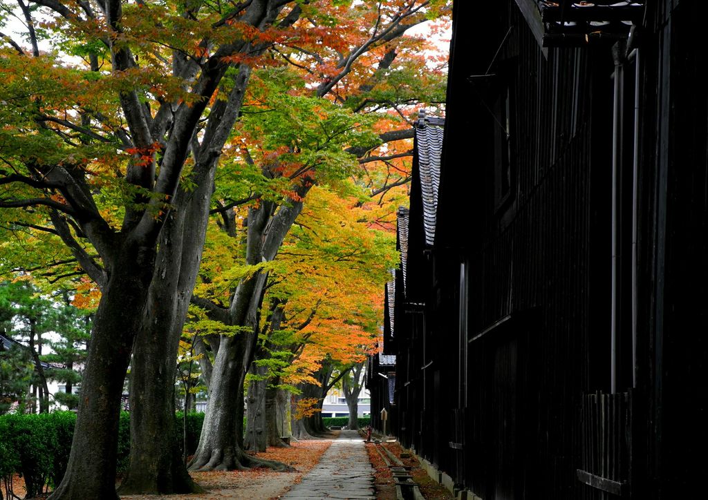 山居倉庫