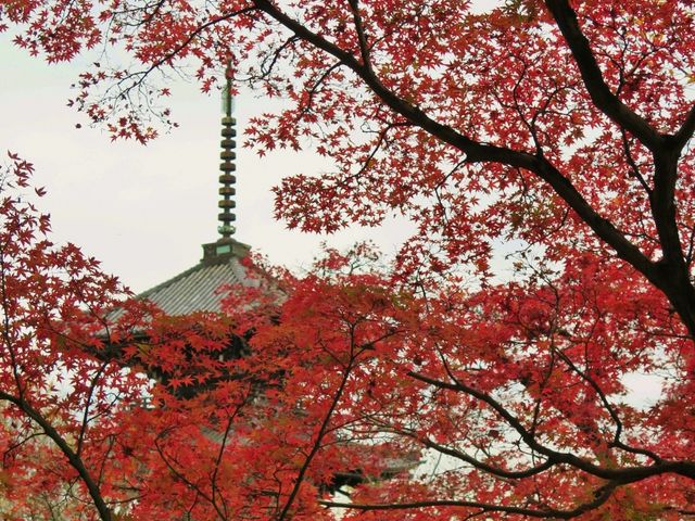 真如堂(真正極楽寺)