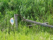 kichiさんの有珠山西山山麓火口散策路の投稿写真2