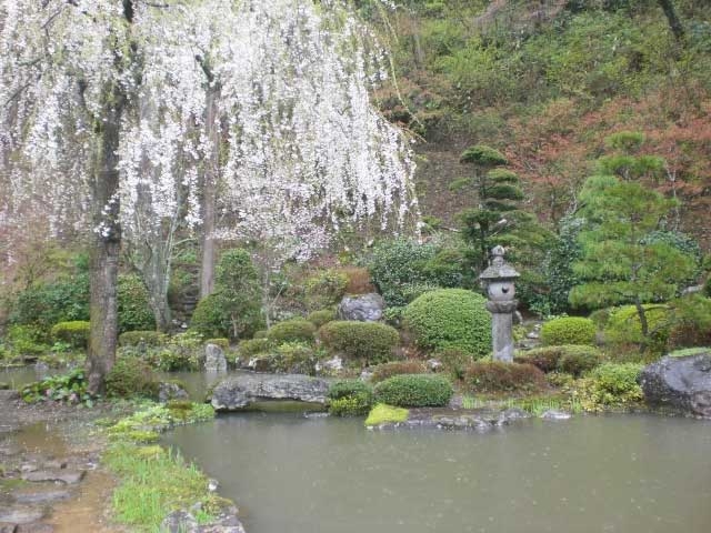 雨天でさえこれほどの眺めの庭園です!_玉川寺