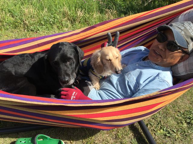 ハンモックで昼寝したり、普段お留守番の犬達には、最高のじかんだだたとおもあます。_鉢ヶ崎オートキャンプ場