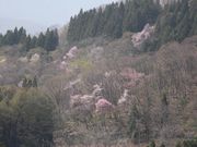 ビラーゴ750さんの百沢温泉郷の投稿写真3