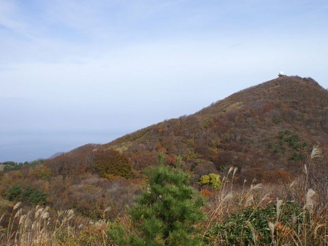山頂_弥彦山スカイライン
