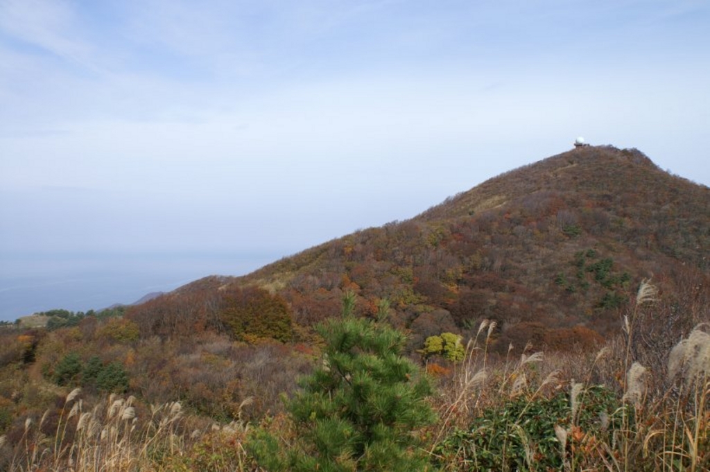 弥彦山スカイライン