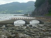 マックさんの鴨ヶ浦の投稿写真5