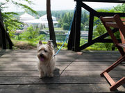 タックさんのレストラン ル・ロージェの投稿写真2