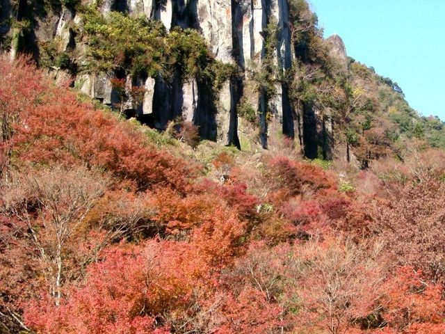 一目八景_一目八景