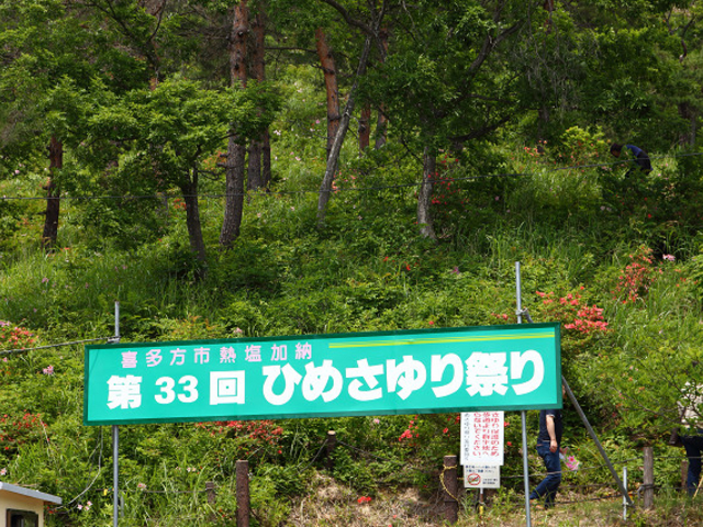 33回ですと!_ひめさゆり群生地