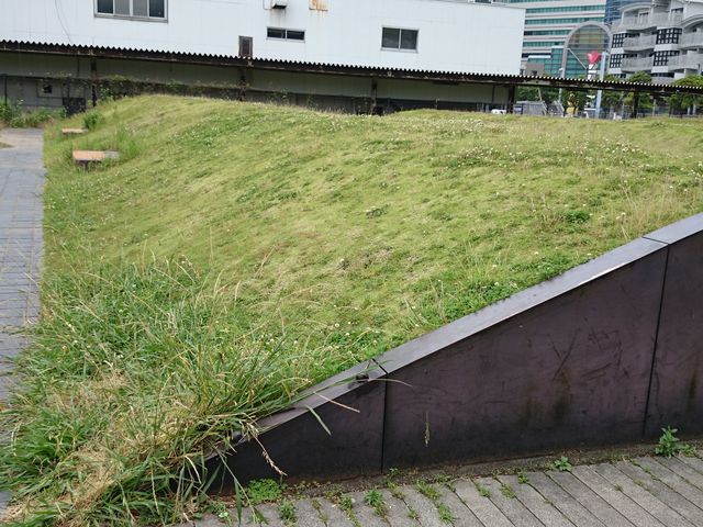 ポートサイド公園2 うねる芝生_ポートサイド公園