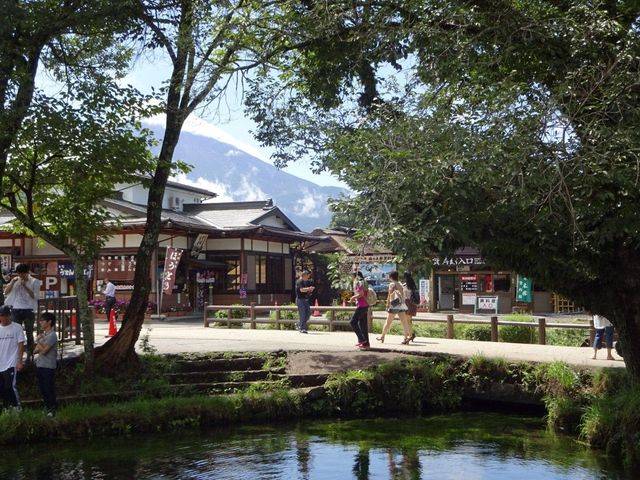 濁池(忍野八海)が目の前に。_池本茶屋