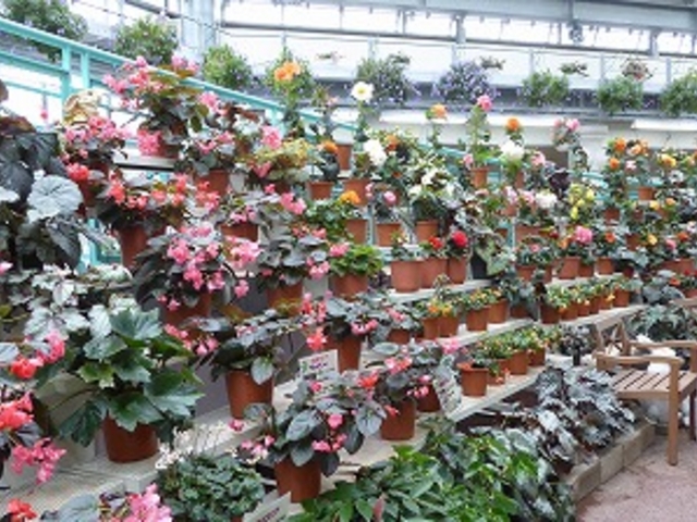 岩手県・一関市・花泉町・花と泉の公園「れいなdeふろーれす」_花と泉の公園