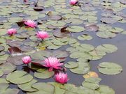 okeiさんの蛇ノ鼻御殿の投稿写真2