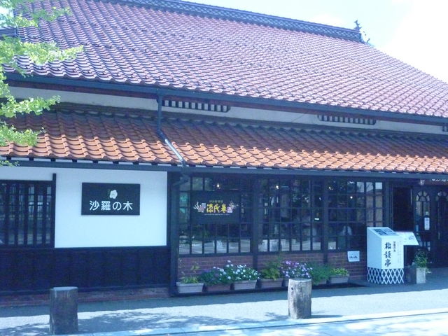 沙羅の木
