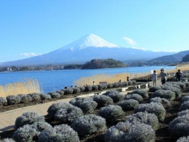 大石公園_大石公園