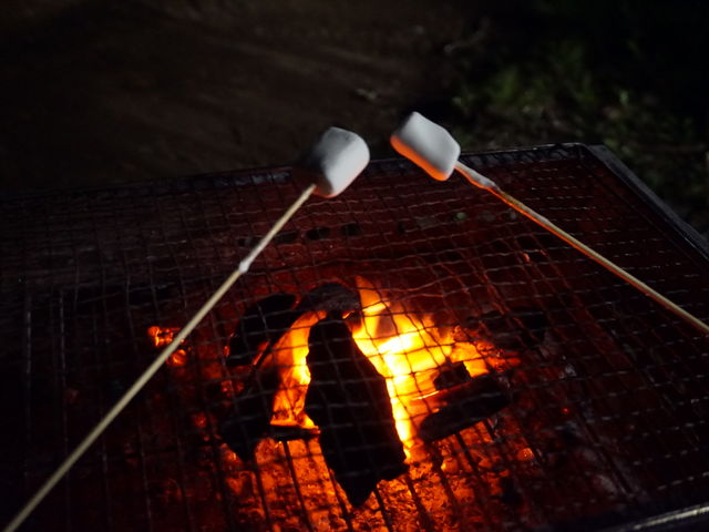 BBQで焼きマュマロ_休暇村 那須